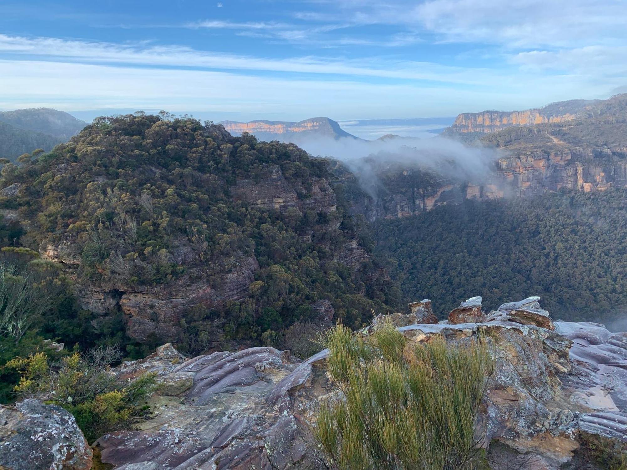 Hostel Flying Fox Backpackers Katoomba Exterior foto